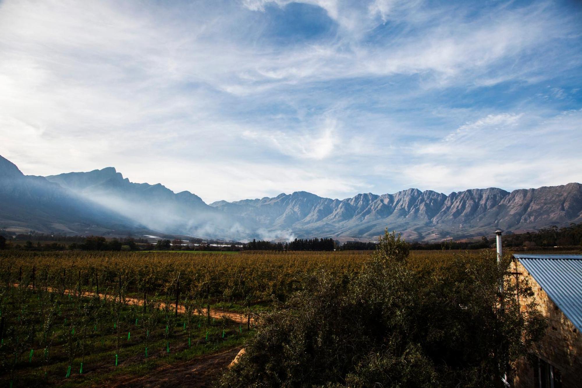 Bergsicht Country Farm Cottages Tulbagh Eksteriør billede