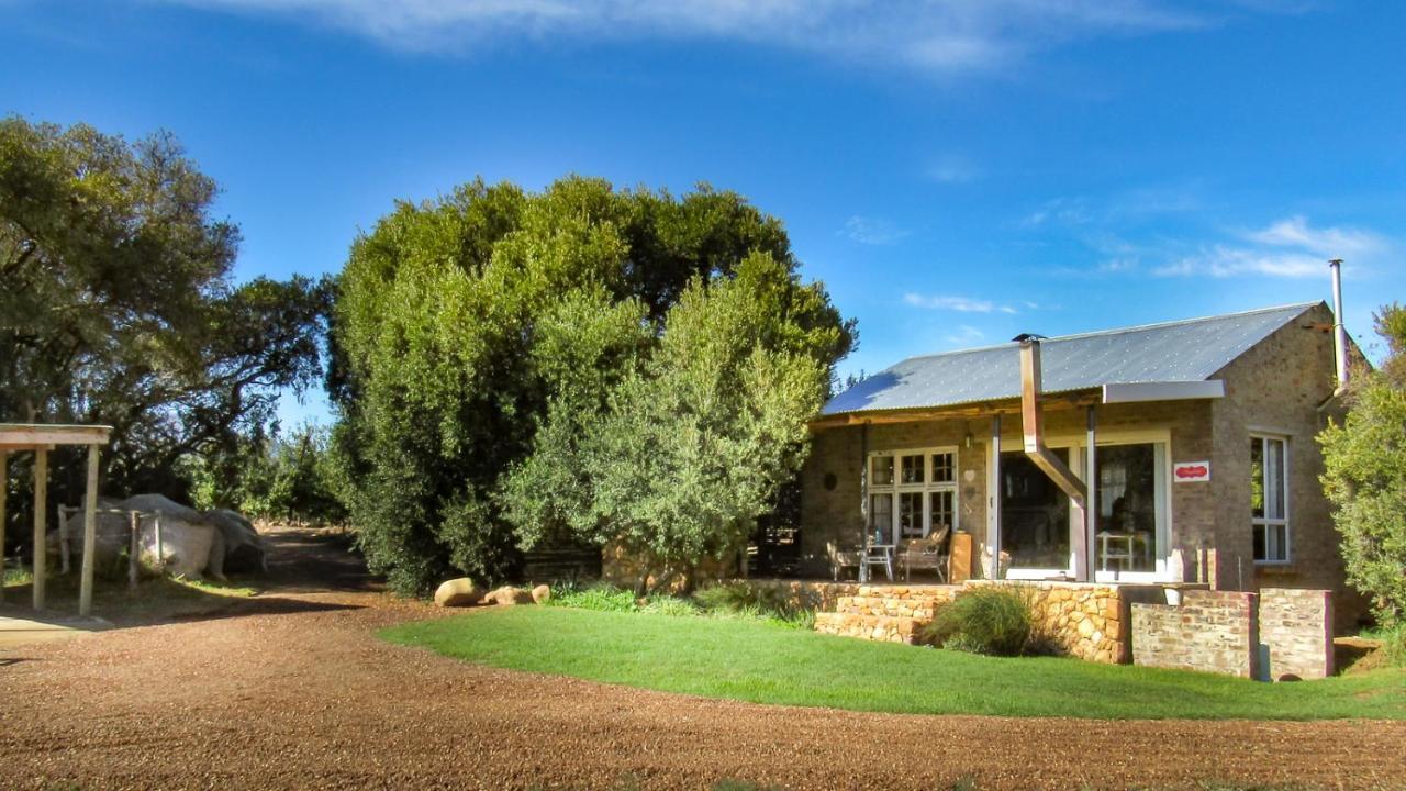 Bergsicht Country Farm Cottages Tulbagh Eksteriør billede